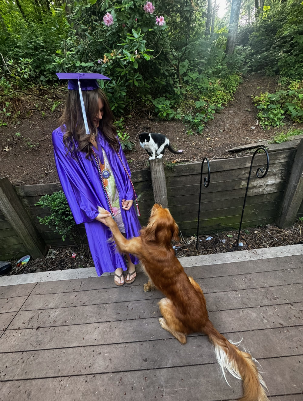 McKenna in her graduation cap and gown holding Chuck’s paw
