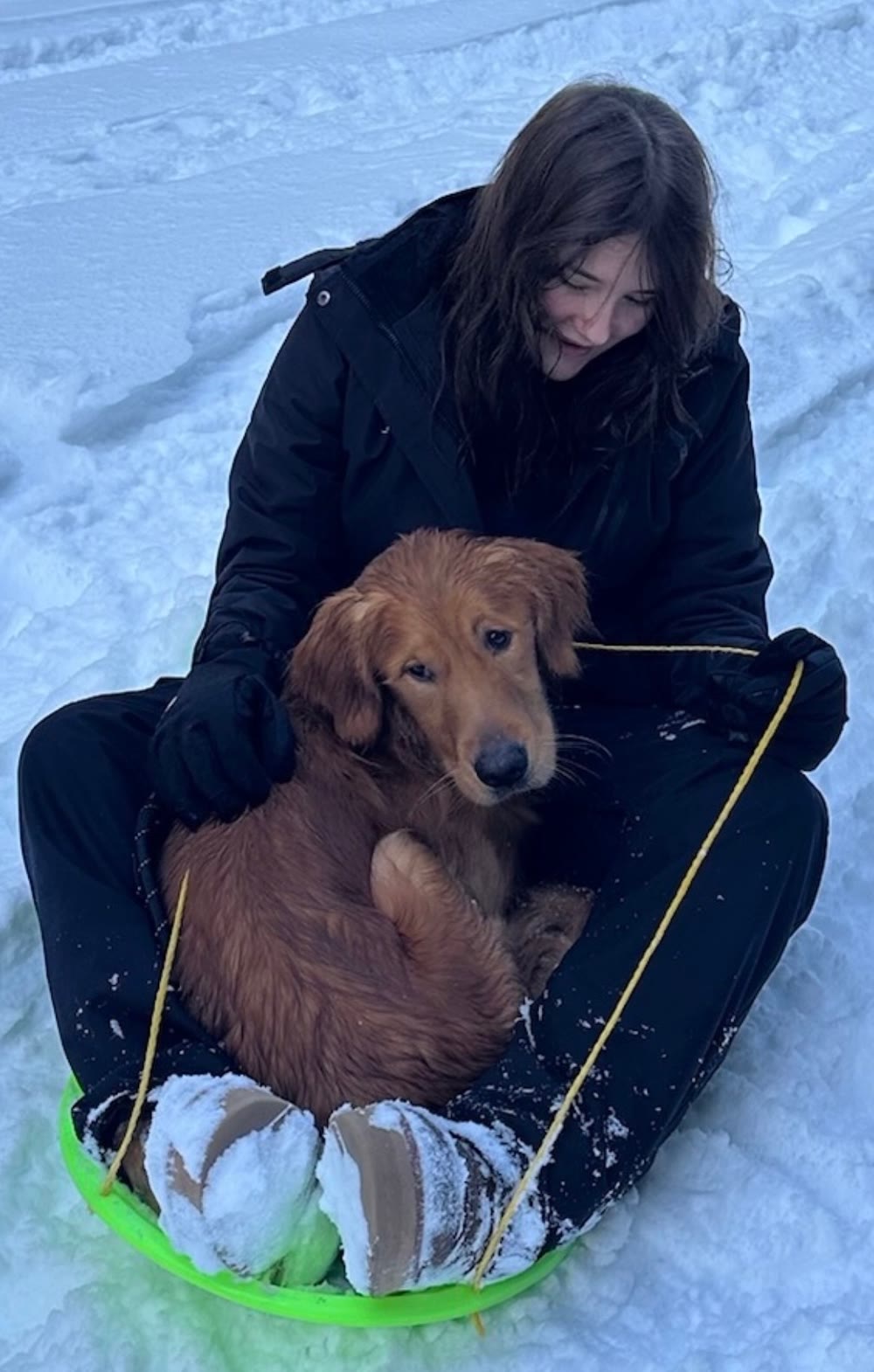 McKenna sledding in the snow with Chuck as a red-gold puppy in her lap
