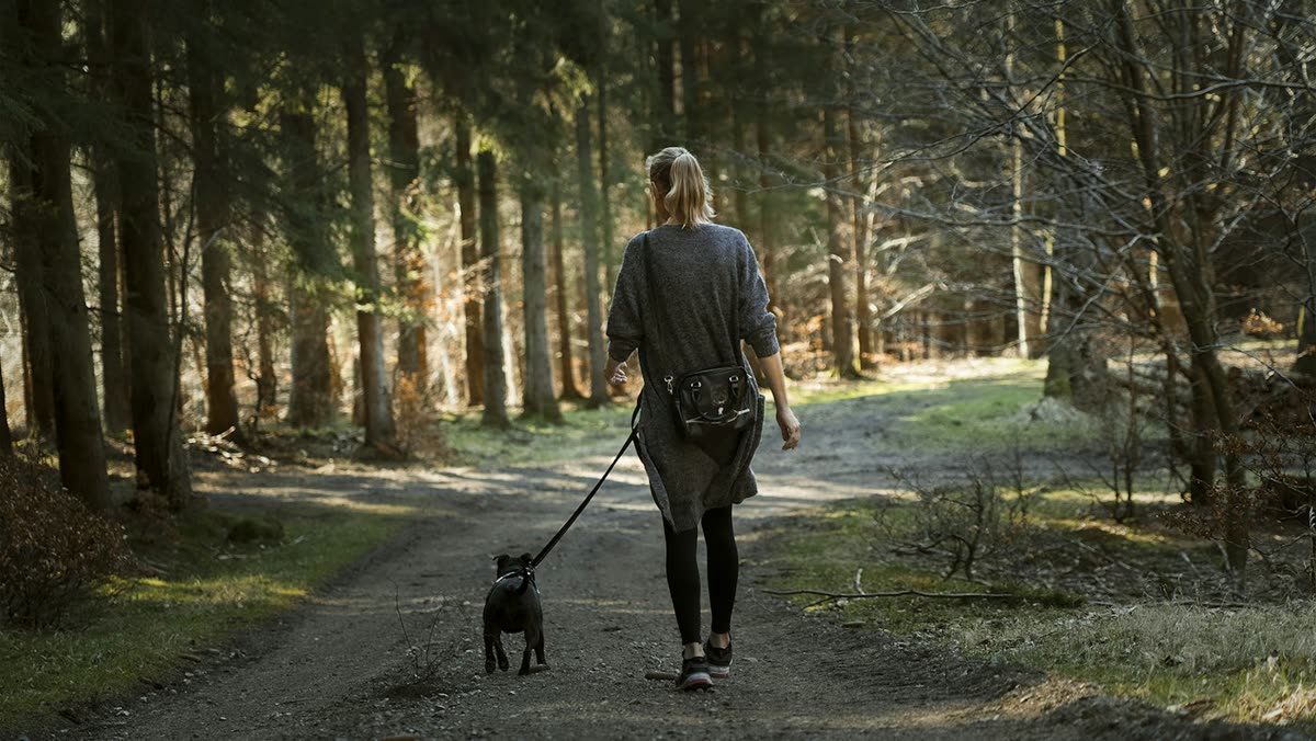 Person walking a dog on a park path