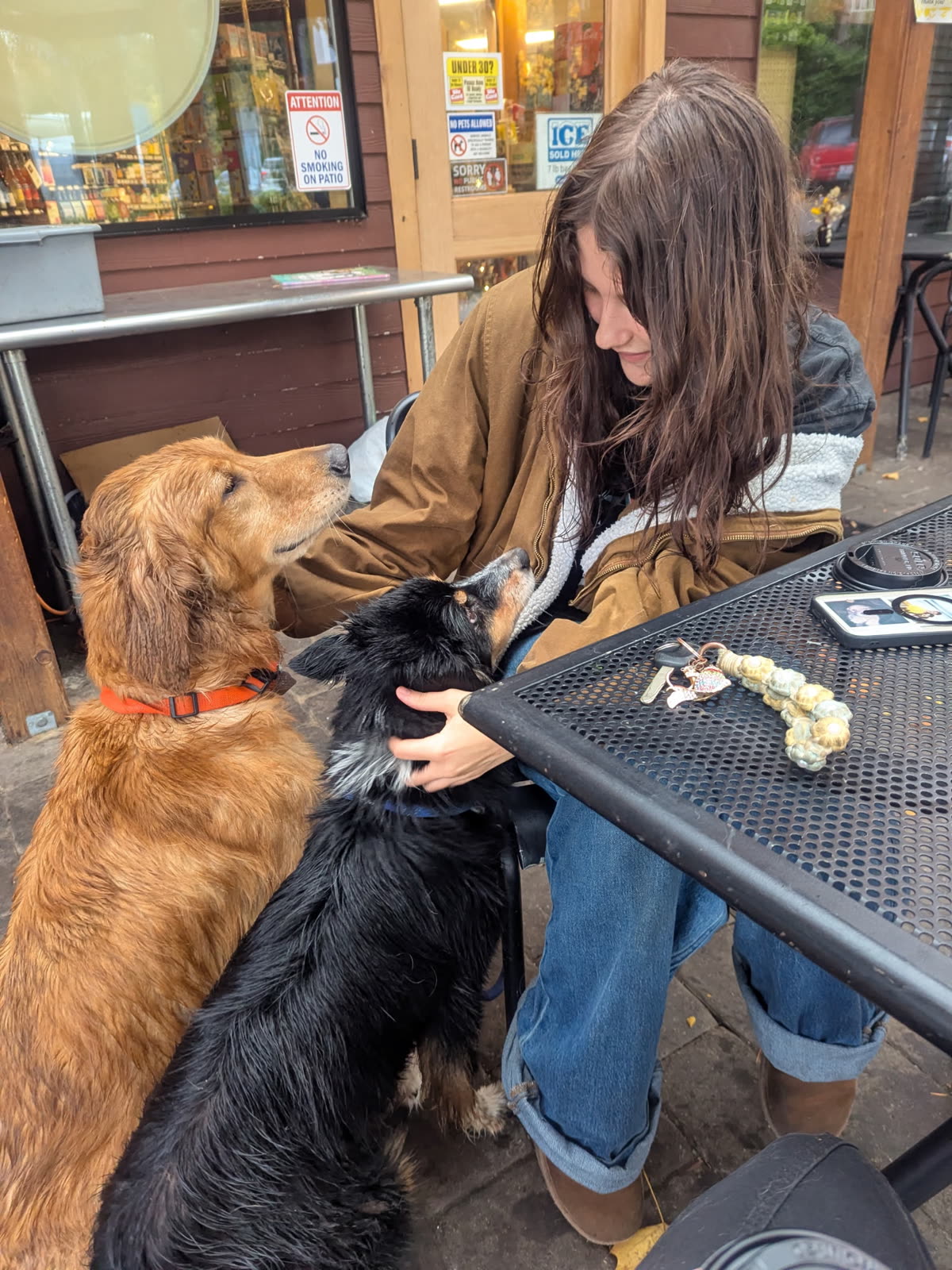 McKenna greeting a golden retriever and a black dog on a café patio